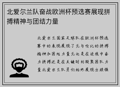 北爱尔兰队奋战欧洲杯预选赛展现拼搏精神与团结力量